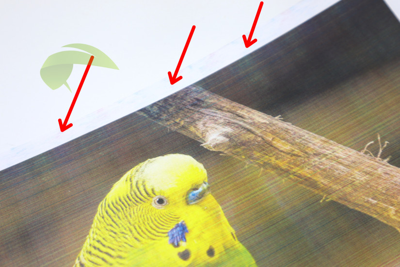 Levné kompatibilní tonery HP a nekvalitní tisk