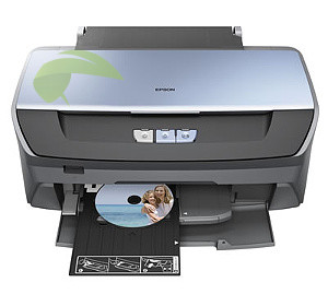 Epson Stylus Photo R265