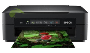 Epson XP-255