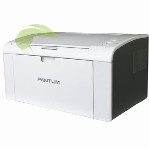 Pantum P2509