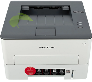 Pantum P3010D
