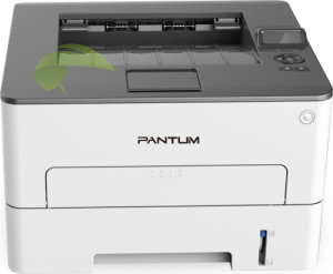 Pantum P3010
